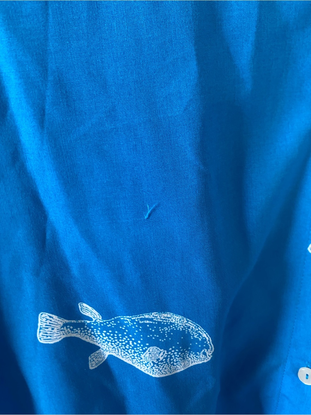 Blue Short Sleeve Lightweight Button-Up Shirt with Bold Fish Print - Picture 3 of 10